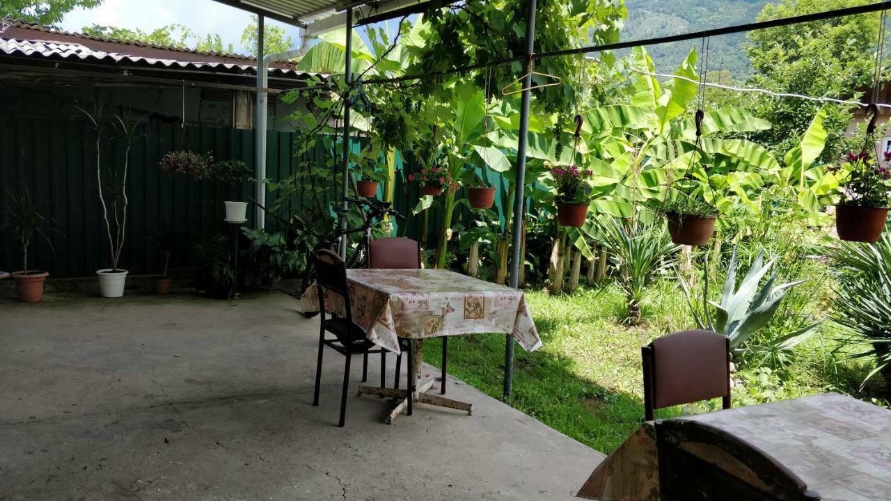 גגרה Tikhaya Gavan Guest House מראה חיצוני תמונה